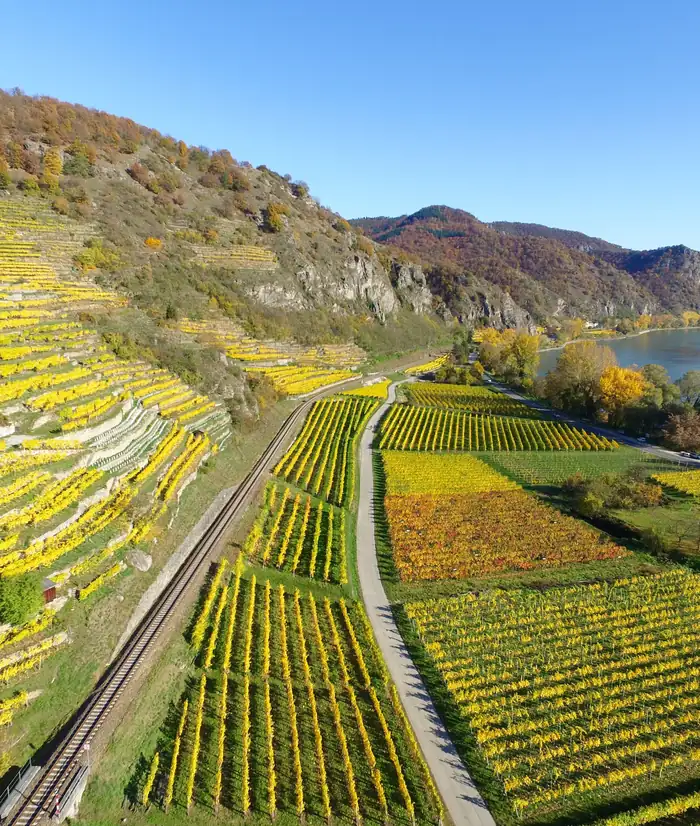 Aerial view of orchard and vineyard blocks divided by a road and a railway line