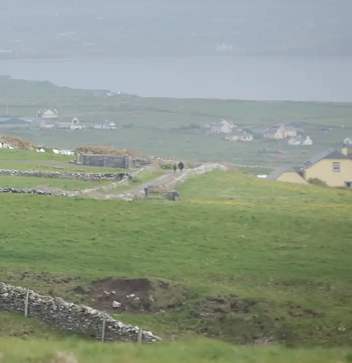 Green paddocks divided by dry-stone walls on a misty morning