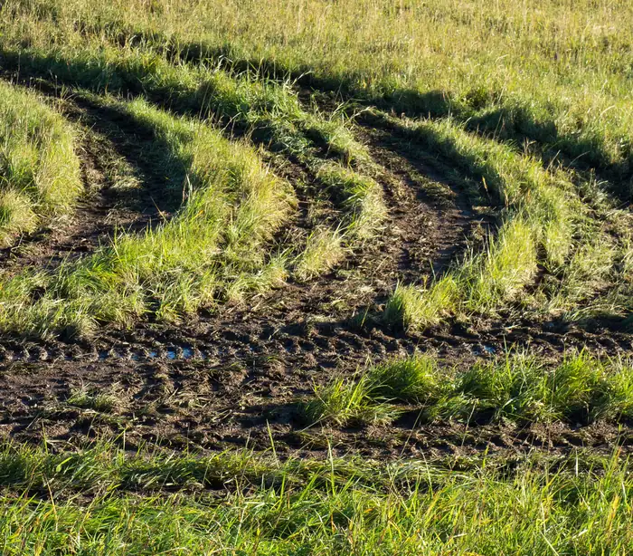 Curved tractor tracks pressed into a grassy field