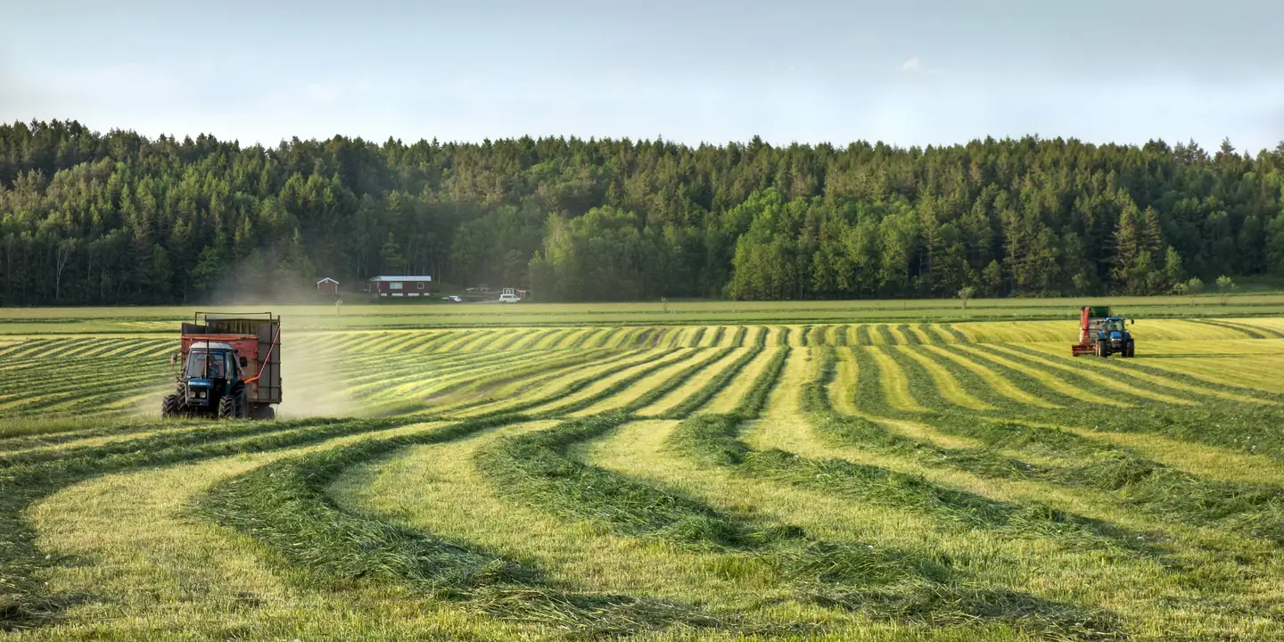 Two tractors working a wide green field of freshly mown grass, with a forest behind