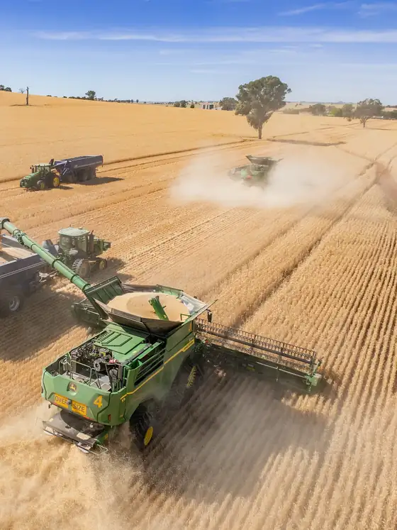 A combine harvester unloading grain into a chaser bin in a golden paddock, seen from above